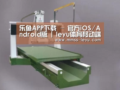 产品名称十
