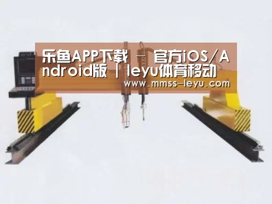 产品名称十七