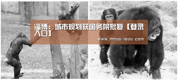 淄博：城市规划获国务院批复【登录入口】