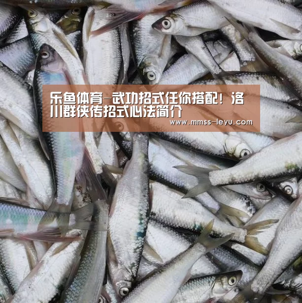 乐鱼体育-武功招式任你搭配! 洛川群侠传招式心法简介