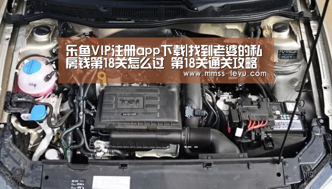 乐鱼VIP注册app下载|找到老婆的私房钱第18关怎么过 第18关通关攻略